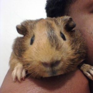 Meet your Posher, Tyesha